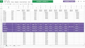 Zahlungsplan Excel-Vorlage