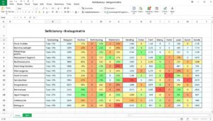 Bewertungsmatrix Excel Vorlage hier kostenlos downloaden