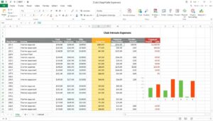 Einnahmen-Ausgaben Verein Excel Vorlage