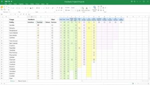 Rapportzettel Handwerk Excel Vorlage hier kostenlos downloaden