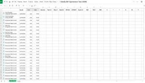 Fragebogen Aaswerten Excel Vorlage hier kostenlos downloaden