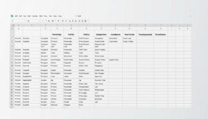 Stakeholderanalyse Excel Vorlage hier kostenlos downloaden